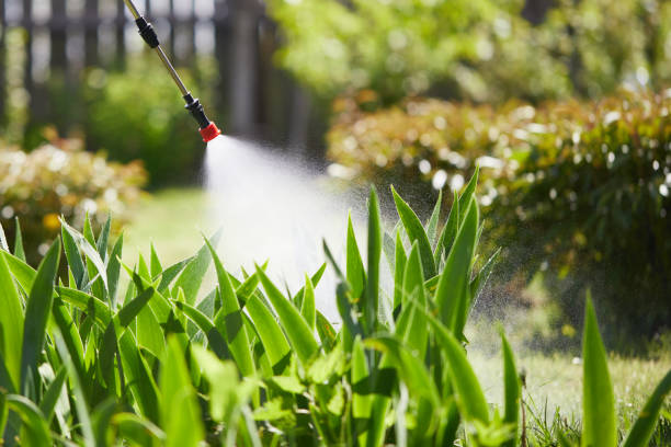 24/7 Emergency Mosquito Control experts in Ward, AR